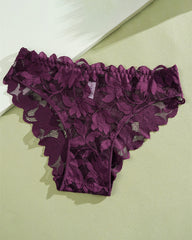 Sexy Sheer Lace Low-Waist Bikini Panties – Semi-Cheeky & Flirty