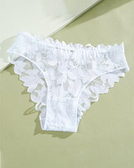 Sexy Sheer Lace Low-Waist Bikini Panties – Semi-Cheeky & Flirty