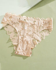 Sexy Sheer Lace Low-Waist Bikini Panties – Semi-Cheeky & Flirty