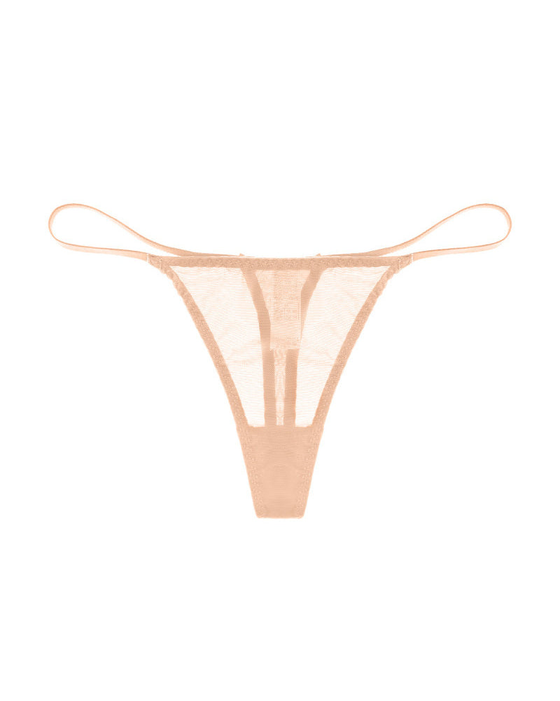 Sexy Low Rise T-back Mesh Panties