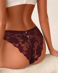 Sexy Sheer Lace Low-Waist Bikini Panties – Semi-Cheeky & Flirty